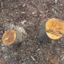 은평-045 이미지