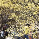 이천메디칼 이미지