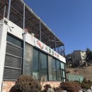 고기굽는 사랑방 | 영월 현지인 맛집 사랑방식당 영월역 근처 45년 전통 오징어불백 추천 내돈내산 후기