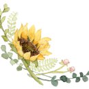 (주)실버그린 이미지