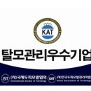 엘피스두피탈모센터