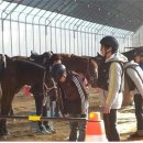 성덕축산 이미지