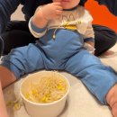 재연농장 | 문센, 10개월 아기와 함께한 클래스 콕 스타필드 빌리지 운정 솔직 후기 (오감올리, 아이젬, 당나귀똥)