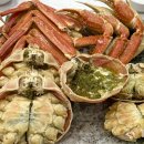 천사수산 | 평택 송탄 오대양대게수산ㅣ대게 킹크랩 맛집 콜키지 무료 식당 내돈내산 후기