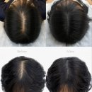 마음에 점을 찍다 네이버블로그