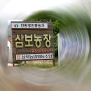 삼보농원 이미지