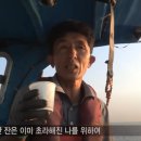 해뜨는 언덕, 꿈꾸 | 오르또 화이트 스파클링 비앙코, 천연 발효 탄산 프리미엄 사과 와인 추천