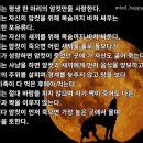 멋찐여우