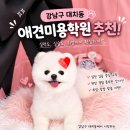 미용의정서애견미용학원 - 남동구 인주대로591번길 32 | 대치동애견미용학원 추천, 수강후기와 비용 총정리