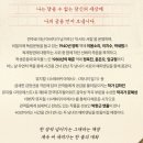 소란스러운 나의 서림에서 줄거리 후기 넘버