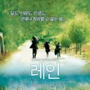 레인 Daum카페