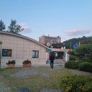 합천축협 삼가지소 | 2025 합천 황토 한우축제 막차 후기 (찐현지인 추천 축제!)