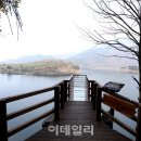 그리고숲