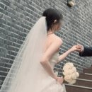 (주) 디지털드림스튜디오 | W4. 부산웨딩촬영 서면 [온길스튜디오] 촬영 후기