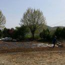 군위남부초 이미지