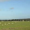 조이목장 이미지