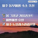 굽네치킨함덕점 | [제주도] 가성비 숙소추천_봄 그리고 가을리조트(성산), 에벤에셀호텔(함덕), 제주노블레스관광호텔(제주)