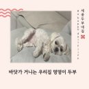 거니는집 이미지