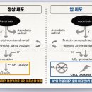 비타민수산 이미지