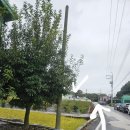 갈전보건진료소 이미지