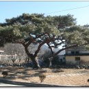 영오초등학교 이미지