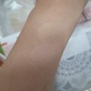 아이피스 | 다이소 에뛰드 신상 플레이 101 바이 에뛰드 듀얼 아이피스 내돈내산 전색상 발색 후기