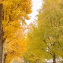 세븐일레븐종로창성점 이미지