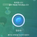 어무이쌈밥 | 내맘대로 기록하는 8월의 일상