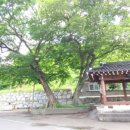 구례문화원 이미지