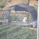 병호농장 이미지