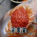 참진한우 Daum카페