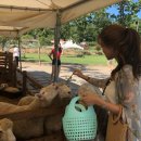 순동목장 이미지