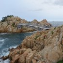 27년 신년일출 한반도 첫 일출 -대왕암공원 울산,경주,포항여행 12,31(목)~03(일) 3박4일 신청해 주세요 이미지