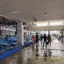 대천허브펜션 | 대천항 갑오징어 시세 반전 ㅣ kg 3.5만 원 속지 마세요, 끝집 가니 2.5만 원!