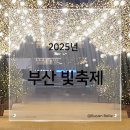 세아꿈어린이집 | 부산 가볼만한곳 겨울밤을 책임질 '부산 빛축제' 리스트 7