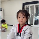 푸른태권도장 이미지