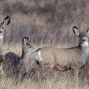 포낙보청기둔산센터 이미지