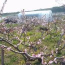 영우농장 이미지