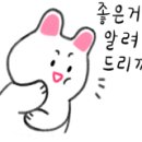 회진포낙지마을 이미지