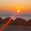 금산홍삼사료 이미지