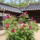경포도립공원