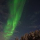 오로라 캣 이미지