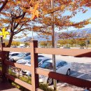 계월농장 이미지