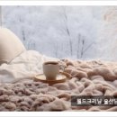 월드크리닝울산 이미지