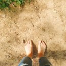 1도의 기적 이미지