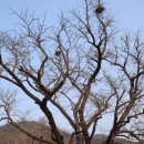 숭덕사(덕성서원) 이미지