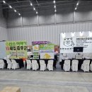 삼호익스프레스 이미지