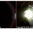 (주)루미아이제네틱스 이미지