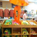 비거농장 이미지