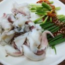양산DS당구클럽 | [양산 맛집] 제철 해산물이 가득한 중부동 '문어한마리' 방문 후기